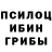 Псилоцибиновые грибы Magic Shrooms anthony palacios